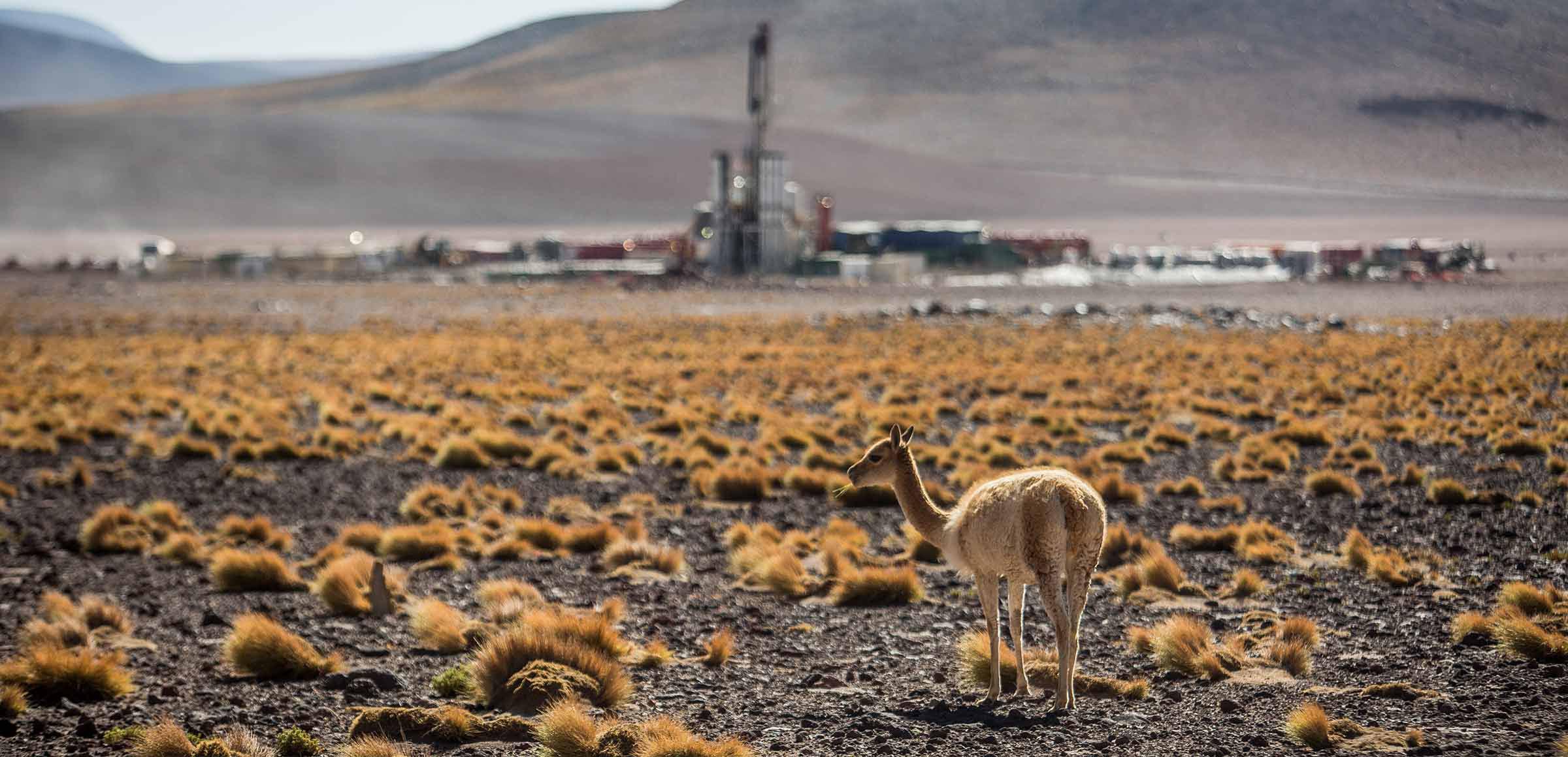 O Chile poderá colher os frutos da transição energética? - BNamericas