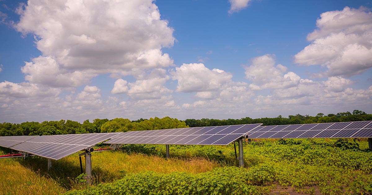 Raleigh Solar Project, USA Enel Green Power